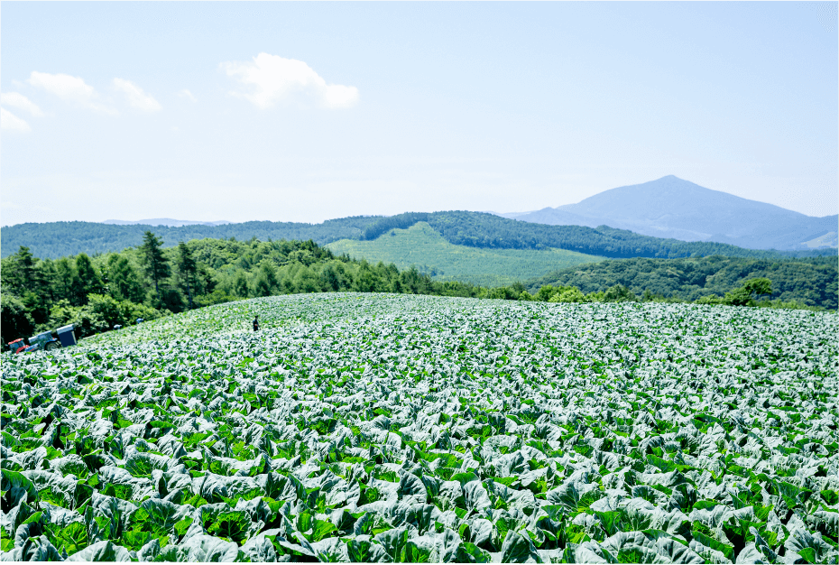 岩手県